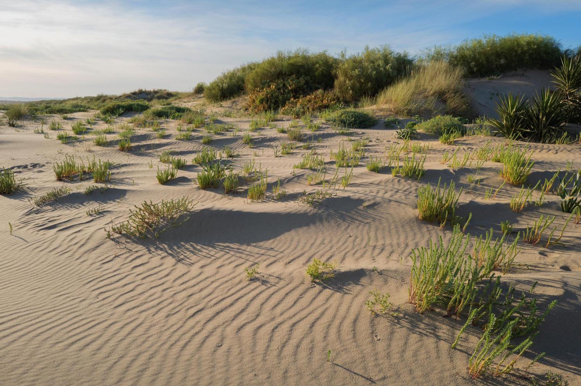 Apartamento - Atico Isla Canela Ayamonte Kültér fotó
