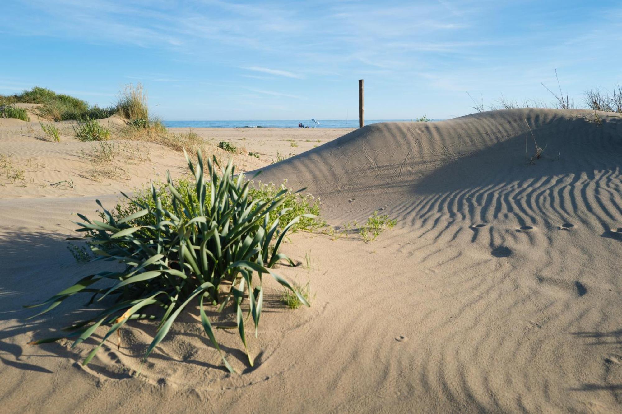Apartamento - Atico Isla Canela Ayamonte Kültér fotó