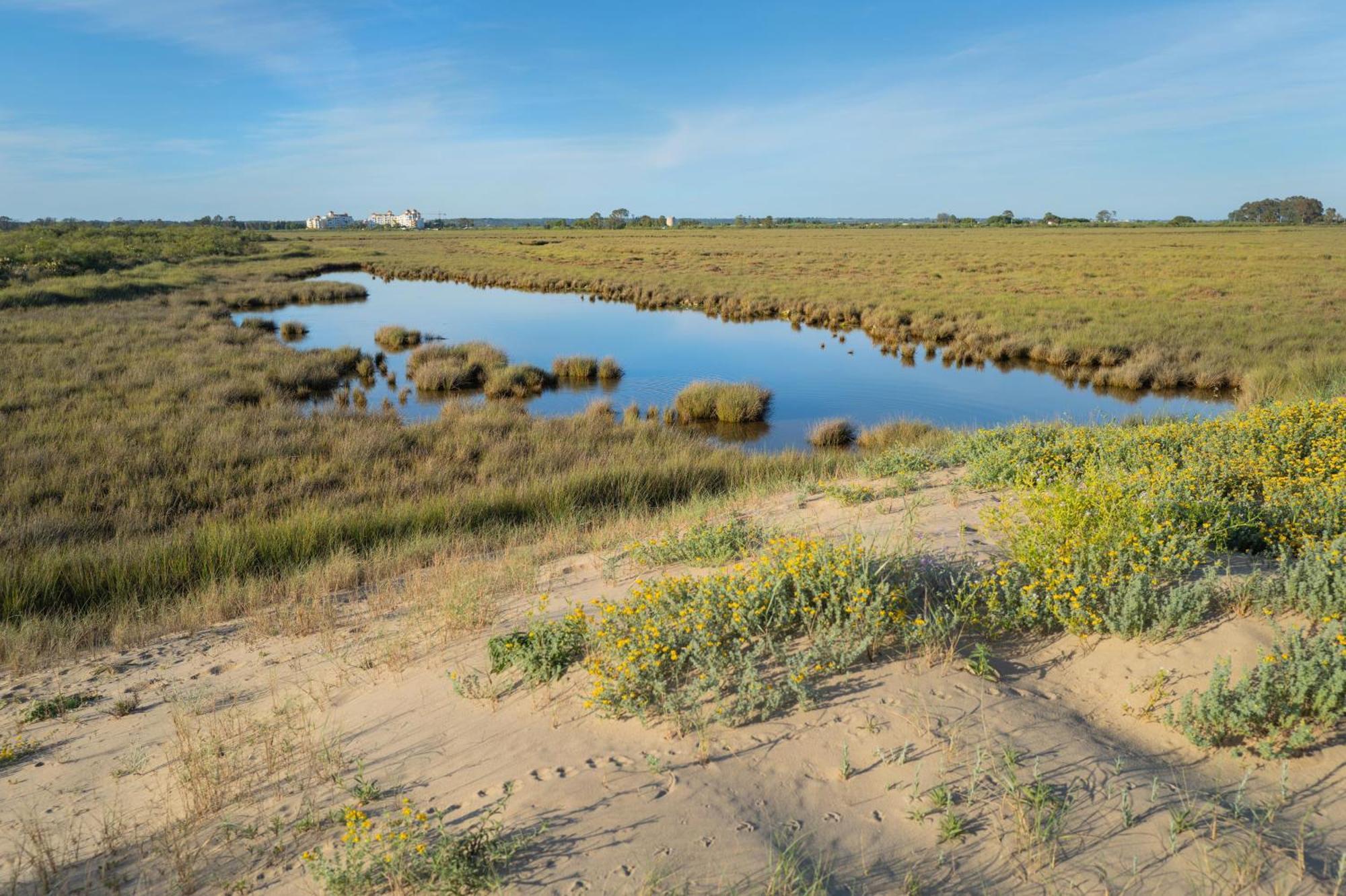 Apartamento - Atico Isla Canela Ayamonte Kültér fotó